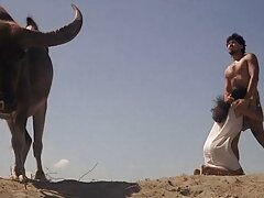 ورزش لينك كانال فيلم سكسي با جوانان بزرگ طبیعی