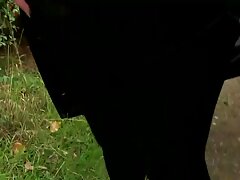 نوکر کوچک آسیایی که توسط اعضا پاره شده است لينك كانال فيلم سكسي